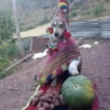Más Animalitos!  🙊🐕 (8fgxs5j39h)