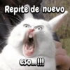 Funny Reacciones habladas  🐈🐕 (wncs8jzpxh)