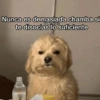 Memes con texto 10🏝️👀 (36cqmy248x)
