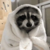 Más Animalitos!  🙊🐕 (6bwcjyrnkh)
