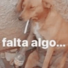 Aleatório: PT2 (k4xzg593f2)