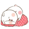 Teddy (9zrs3pc2tm)