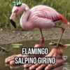 Meme Tiktok Brainrot (p9jbg3687w)