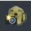 PerrOoZZ🐕🐶 (hjvbcnmkp5)