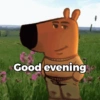 Chill Guy (3srd2t5798)