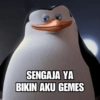 Meme Penguin 🐧 (98d7qh6xn2)