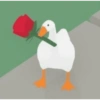 ردود فعل البط (64pz2xgfqm)