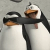 Meme Penguin 🐧 (f27zhdxtyq)