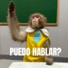 Monitos chistosos (693pfhtxsd)