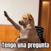 Memes pa reaccionar 🤣 (svfz5ny8rx)