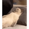 وضع الاسترخاء