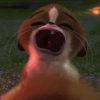 Tierno 🥰 (39nscqyvzd)