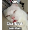 Kucing Tahun Baru (6n9jxqz7dr)