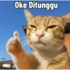 Kucing Tahun Baru (rcndzyt9gm)