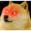 Dogee meme