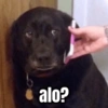 Memes pa reaccionar 🤣 (9p7rk5gyhv)