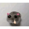 الهامستر اليائس (47m2rqgxzd)