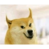 Dogee meme