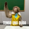 Monitos chistosos (mbpqgfnt9h)