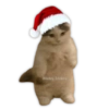 قط غامض مع قبعة سانتا