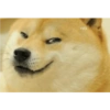Dogee meme