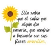 Flores Amarillas 🌻✨ (9j5kbnxzsd)
