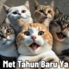 Kucing Tahun Baru (p84vhtmgfs)