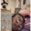 ردود فعل الكسل 😮‍💨 (pjb5d2xfs3)