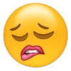 EMOJIS ESPECIAIS 😅 (krfdcx5wz6)