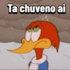 Pica-pau memes  (r6tn5s92fc)