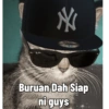 Kucing Tahun Baru (2wy3bqpr45)