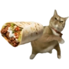 Meme Kucing Lempar 😾 (9sghvxzk6w)