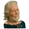 Troy Memes (yh7k9wjt6z)