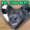 PEGA SEU MEME AQUI (gq743vxdwn)