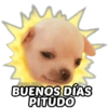 ⭐ SECUENCIAS MEMES TOP 8⭐ (8mzqgt6w4s)