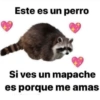 🌈☁️😎 Shitpost Mix 😎☁️🌈 2❤️ (g3kf9mcpsz)