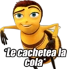Otros memes pa' los nenes 🤟🏼😎 (rf4s2ghqk5)
