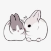 ꮺ﹗ bunny⠀㣴㐆 (9mc852kqzw)