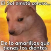 🐶Cheems Bebé🍼