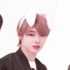 Boys KPop (48mvstk7xg)