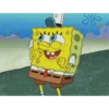 Spongebob (gj5zpm7tk6)