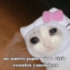 ⋆🐾 gatos tristes ᓚ₍ ^•⁠ ⁠ᴥ •^₎ (v4kn3pywxj)