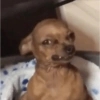 📲☕🫐 Tiktok Mood 🫐☕ (kr8fpqy532)
