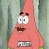 ⭐ Meme Patrick 2025 ⭐ (pdf4zt67rs)