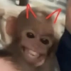 Risas 2 🔥meme 😂 (9y5pzdxjsb)