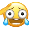 Emoji iphone plenger 🫪 (jswry7m3ng)