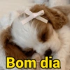 Bom dia  (nj7tfs6k84)