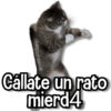 اسكت شوي يا لعنة