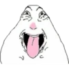 الهامستر الميم 🐹 (jvchy3rbq8)