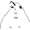 الهامستر الميم 🐹 (8c2zyshpfb)